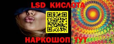 дмт Гай