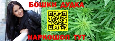 дмт Гай