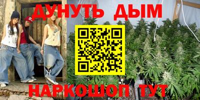 дмт Гай
