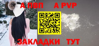 дмт Гай