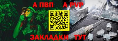дмт Гай