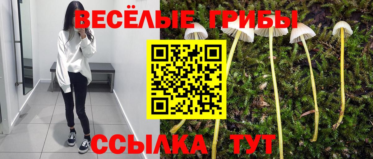 Галлюциногенные грибы MAGIC MUSHROOMS Орехово-Зуево