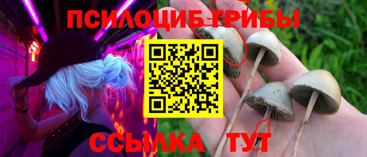 Орехово-Зуево  Псилоцибиновые грибы прущие грибы  Псилоцибиновые грибы GOLDEN TEACHER  Вход с VPN 
